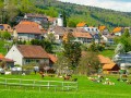 Montricher Village  9 
