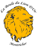 Logo bouleliondor